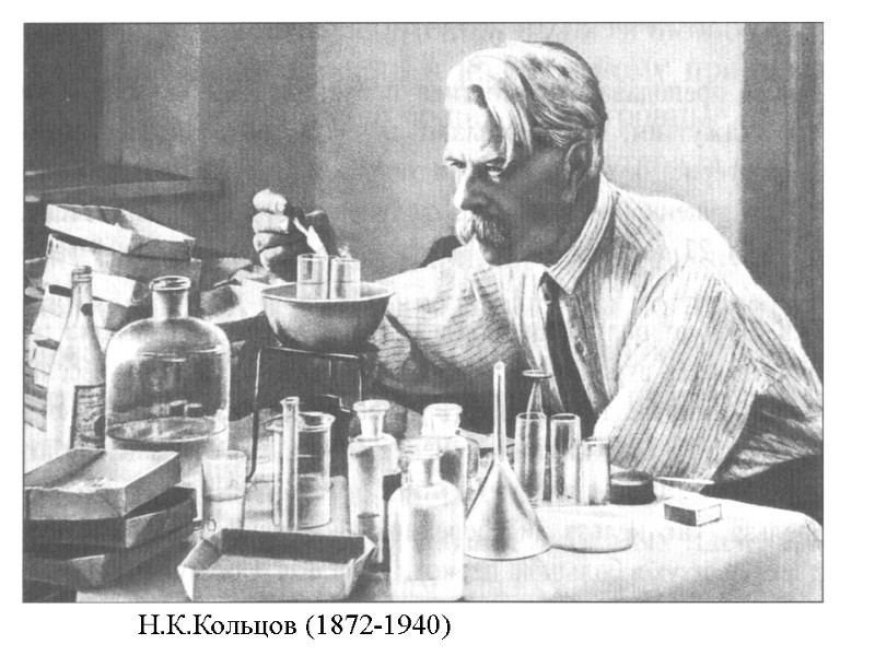 Н.К.Кольцов (1872-1940)